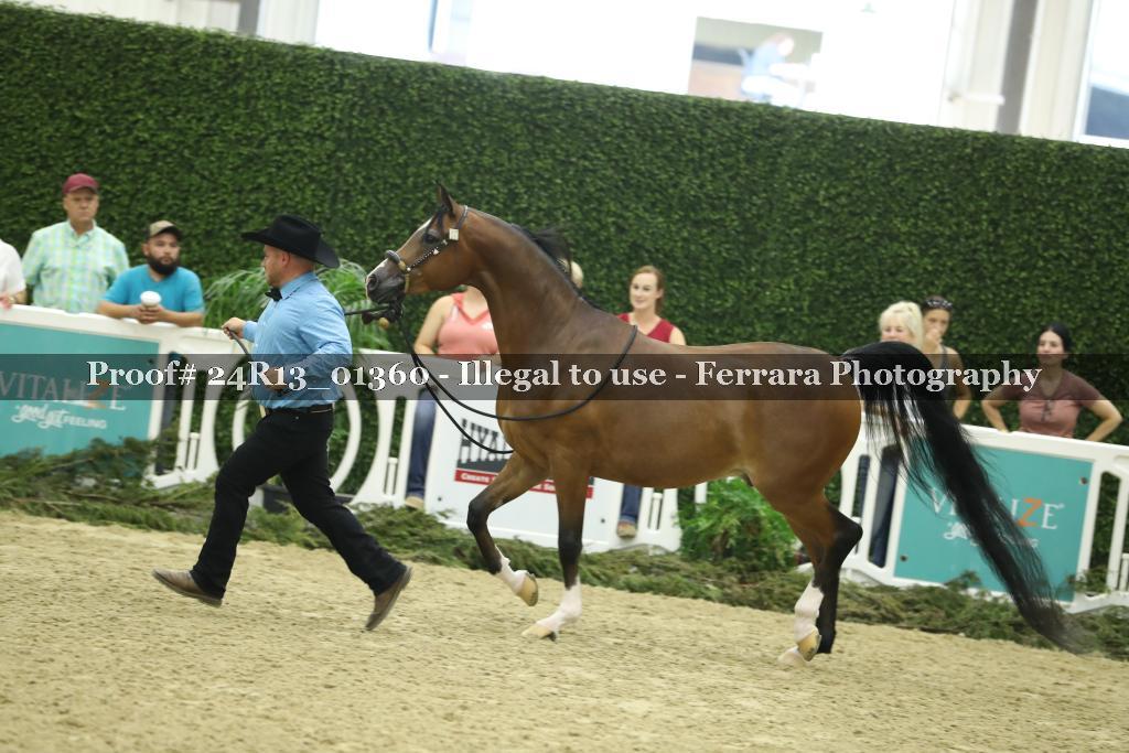 Proof 24R13_01360