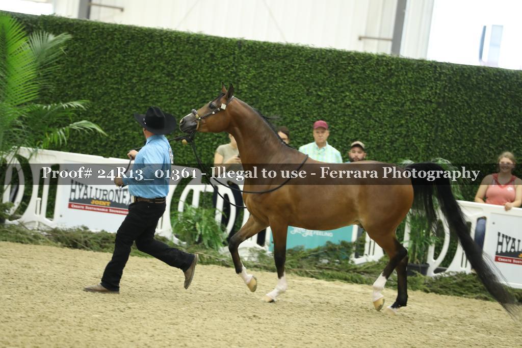 Proof 24R13_01361