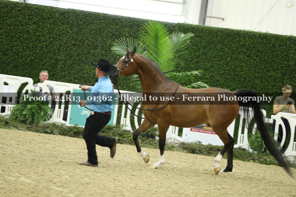 Proof 24R13_01362