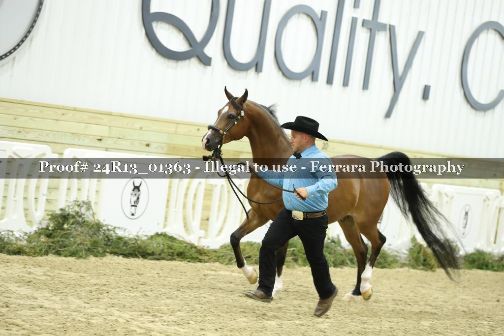 Proof 24R13_01363