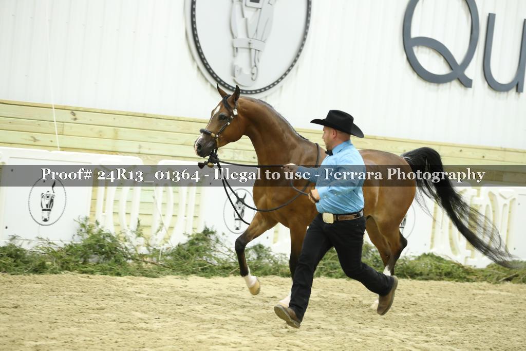 Proof 24R13_01364