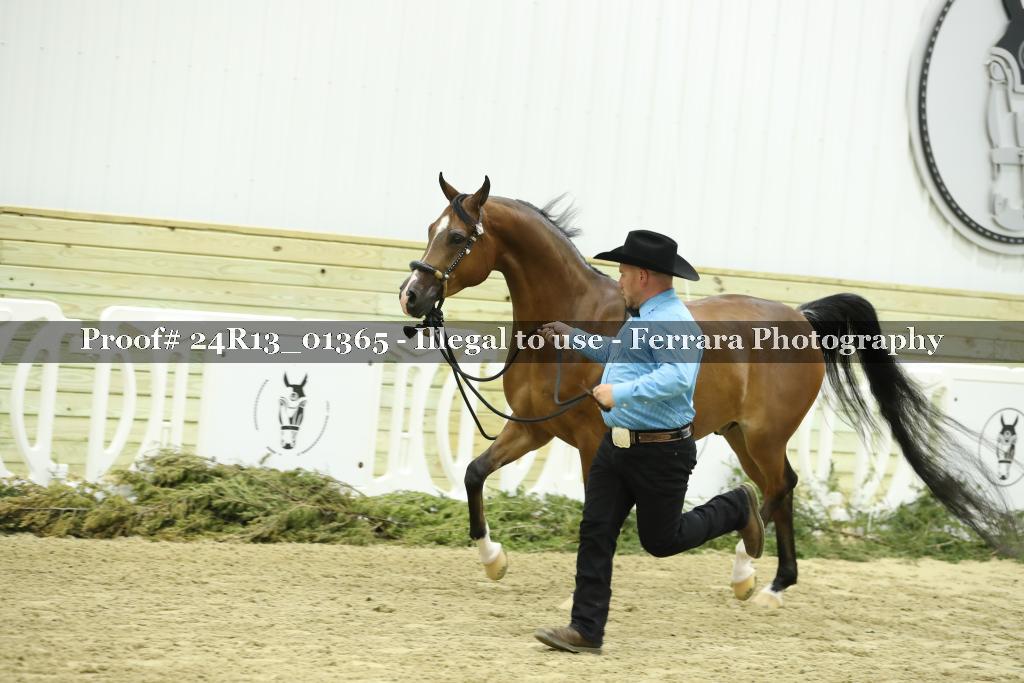 Proof 24R13_01365