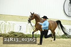 24R13_01365 proof