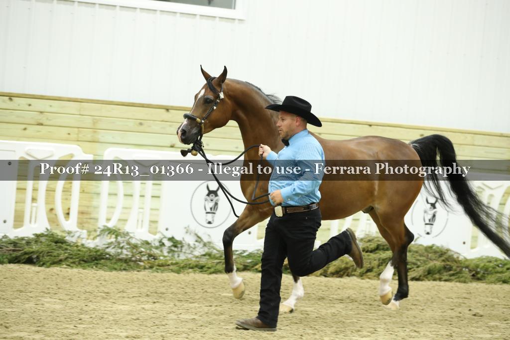 Proof 24R13_01366