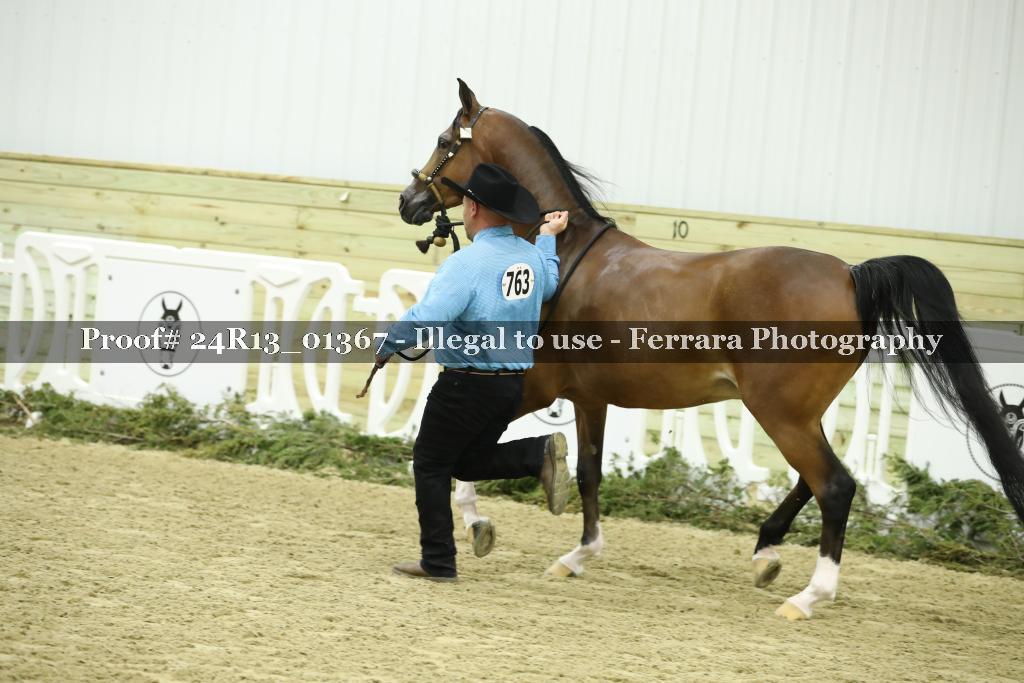 Proof 24R13_01367
