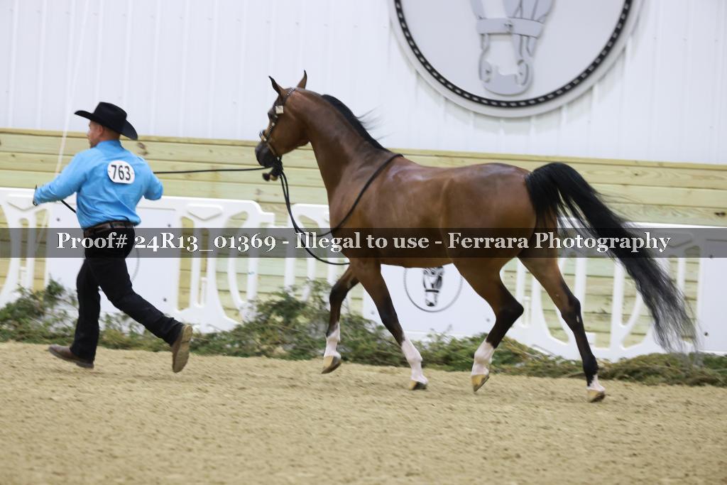Proof 24R13_01369