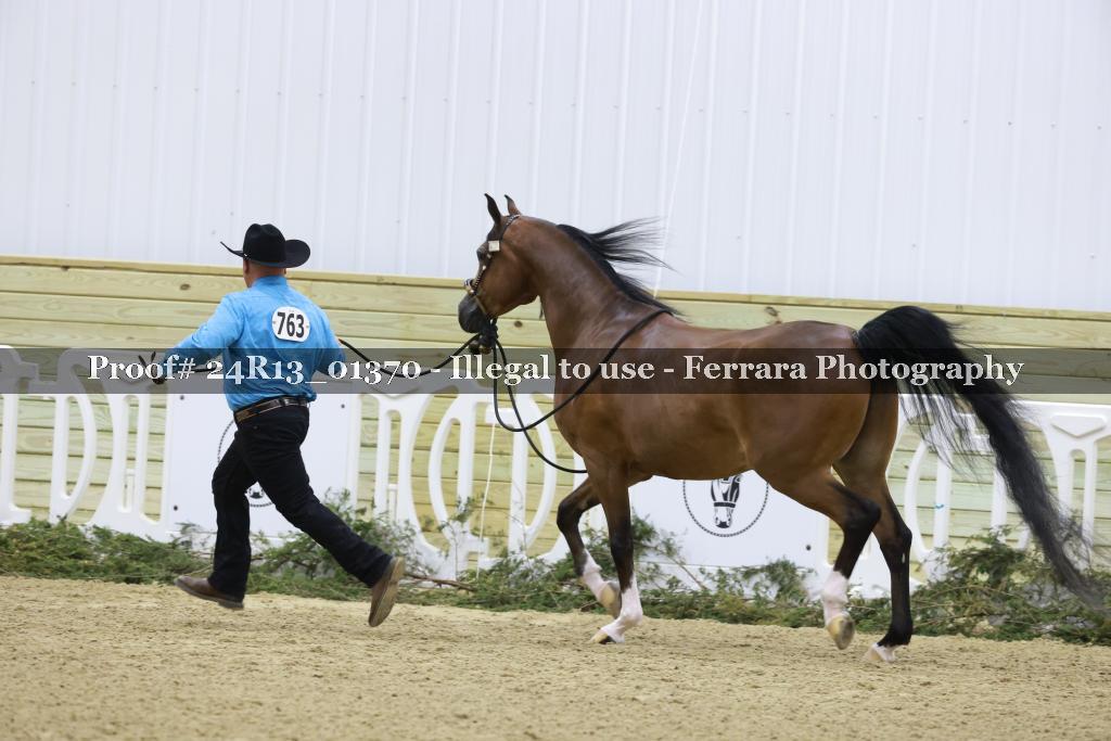 Proof 24R13_01370