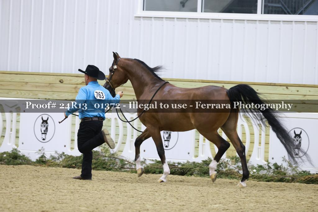 Proof 24R13_01372