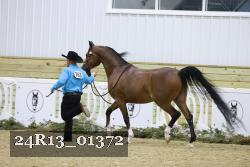 24R13_01372 proof