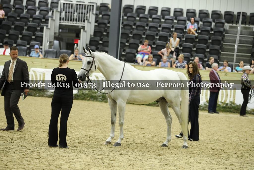 Proof 24R13_01373