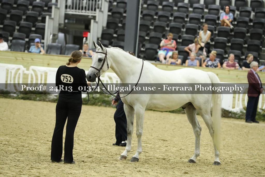 Proof 24R13_01374
