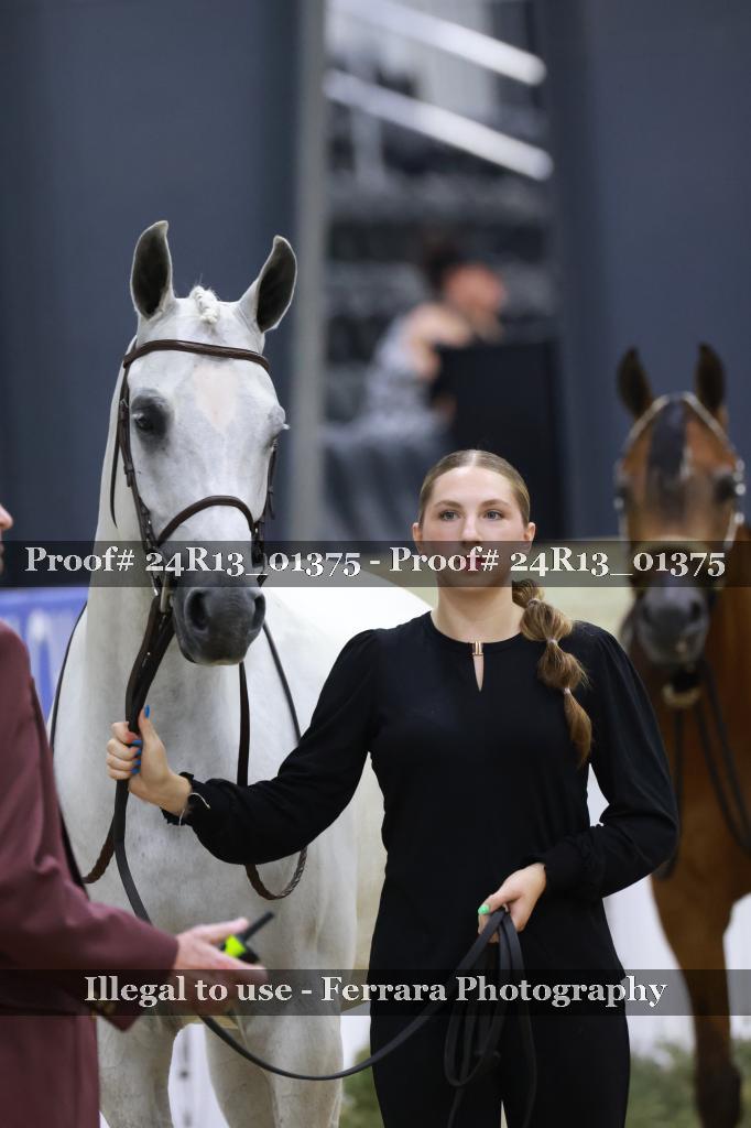 Proof 24R13_01375