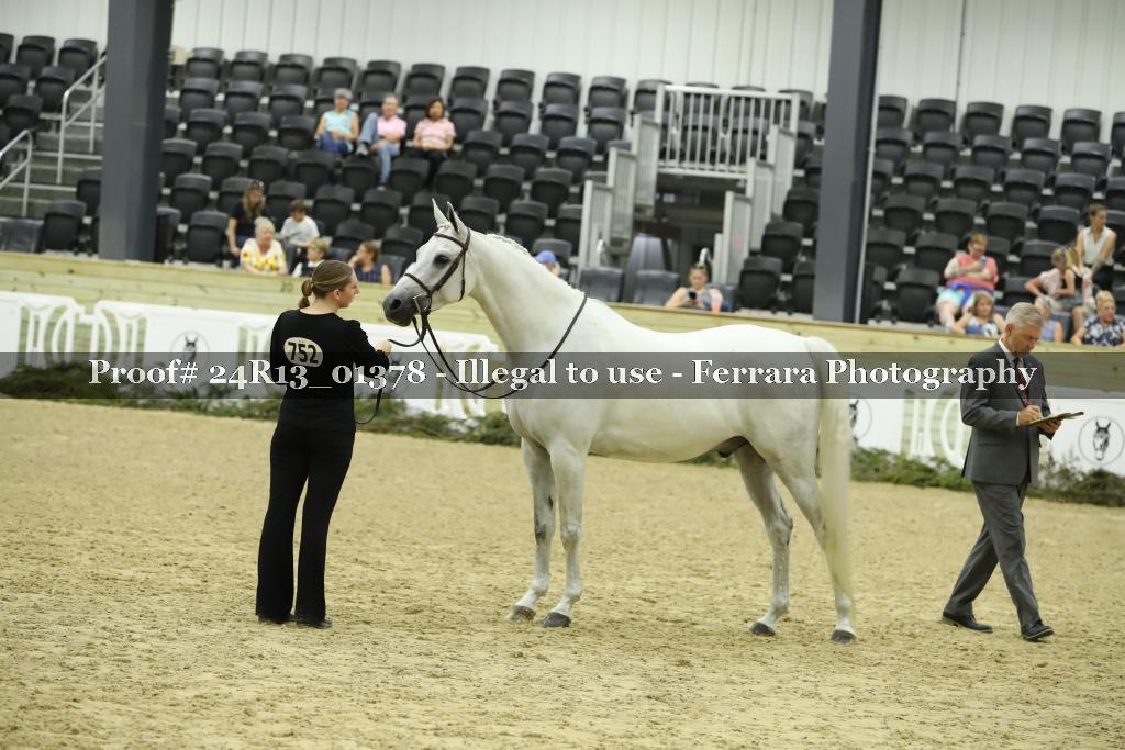 Proof 24R13_01378