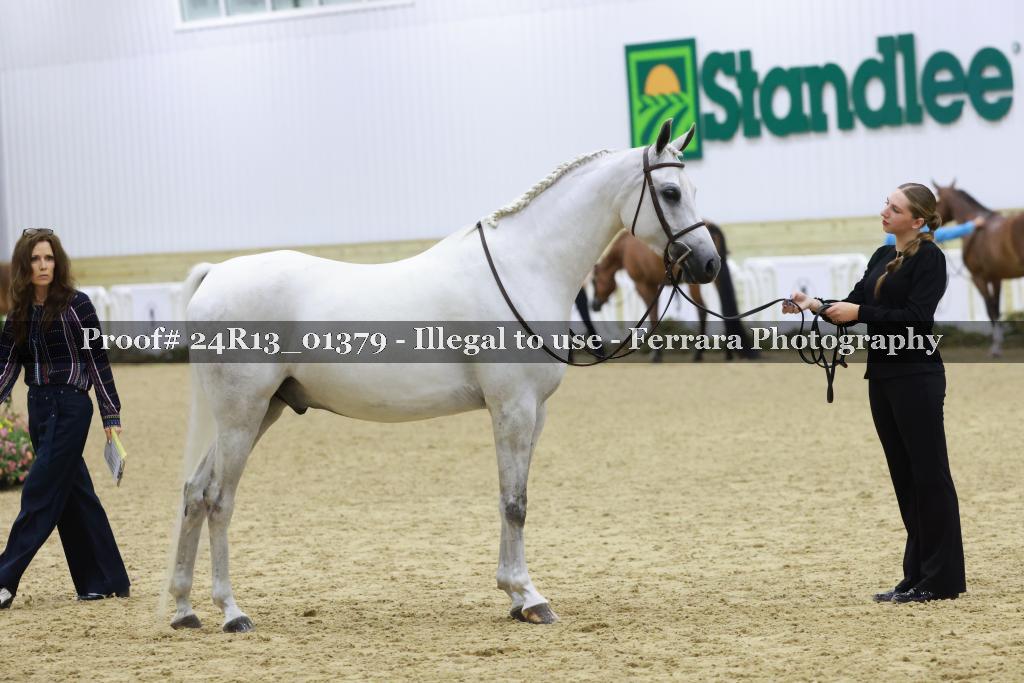 Proof 24R13_01379