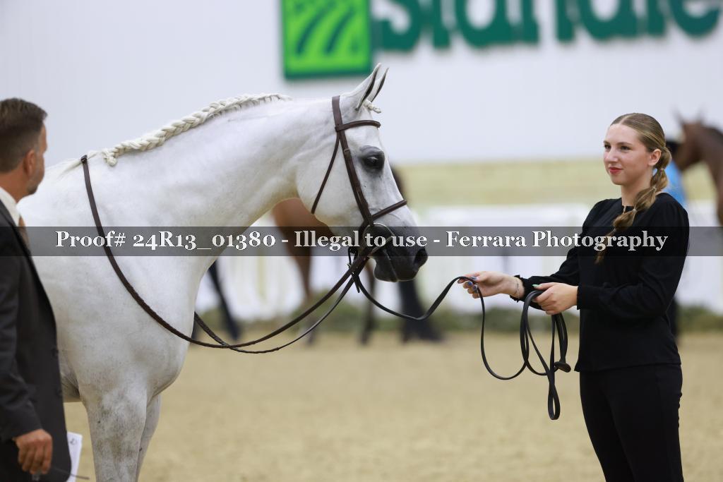 Proof 24R13_01380