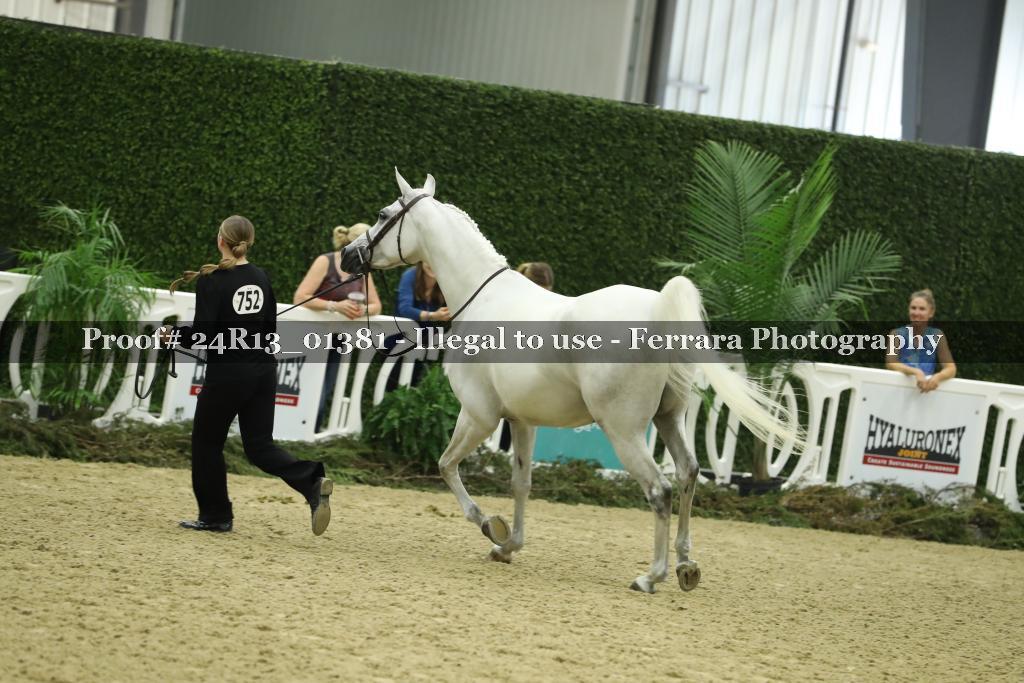 Proof 24R13_01381