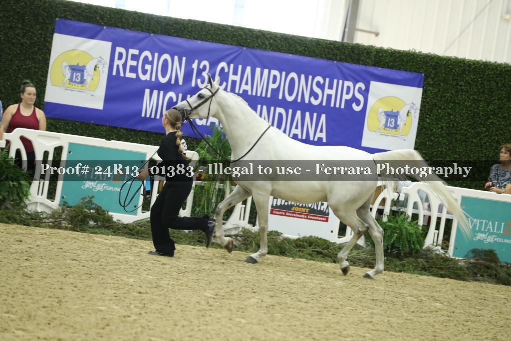 Proof 24R13_01383