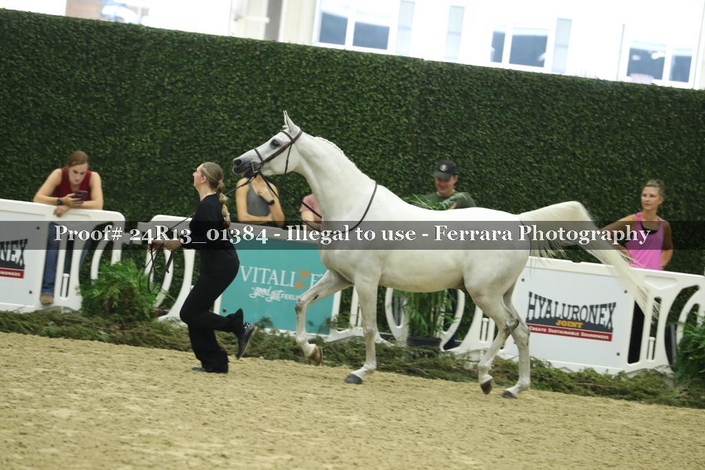 Proof 24R13_01384
