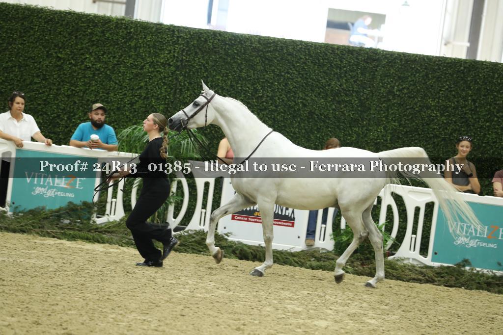 Proof 24R13_01385