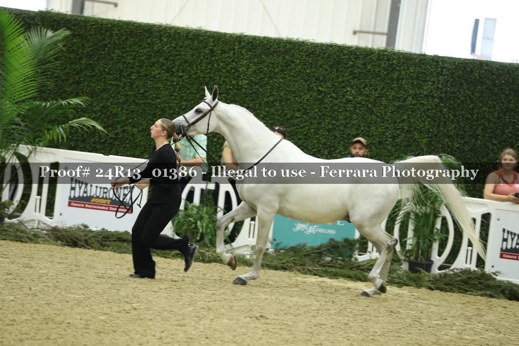 Proof 24R13_01386