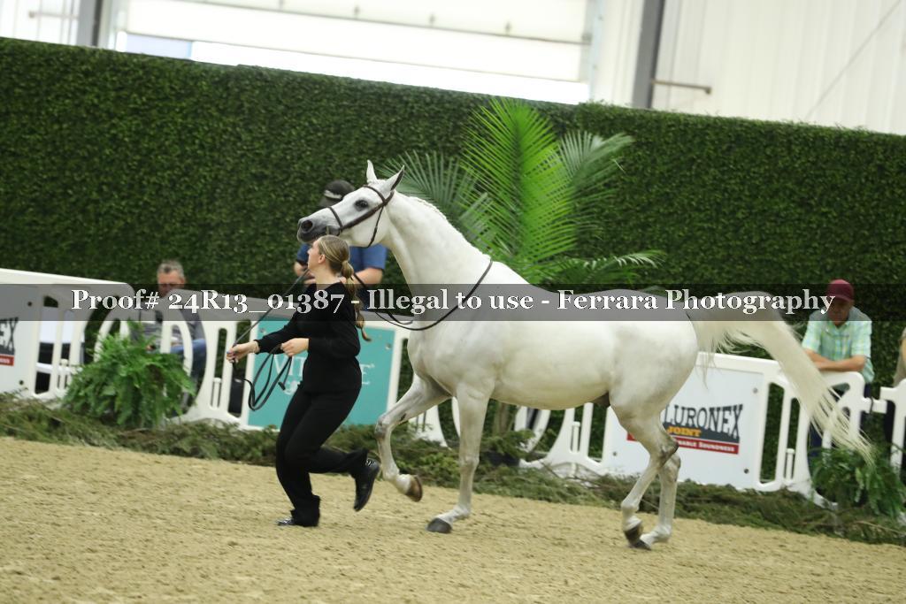 Proof 24R13_01387