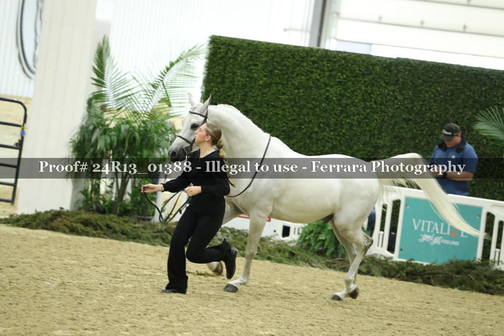 Proof 24R13_01388