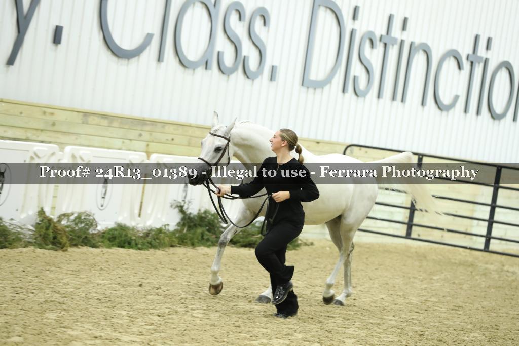 Proof 24R13_01389