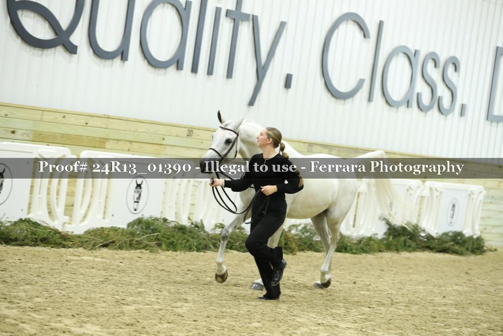 Proof 24R13_01390