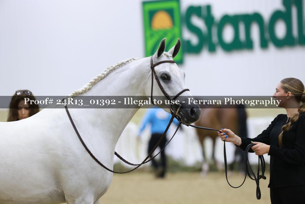 Proof 24R13_01392