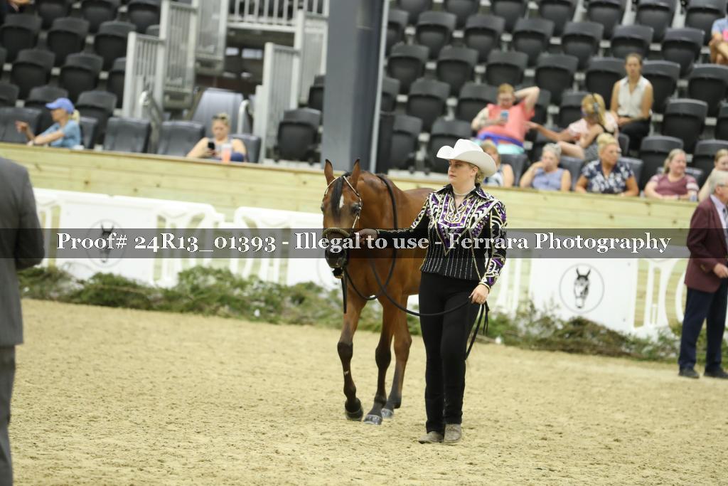 Proof 24R13_01393