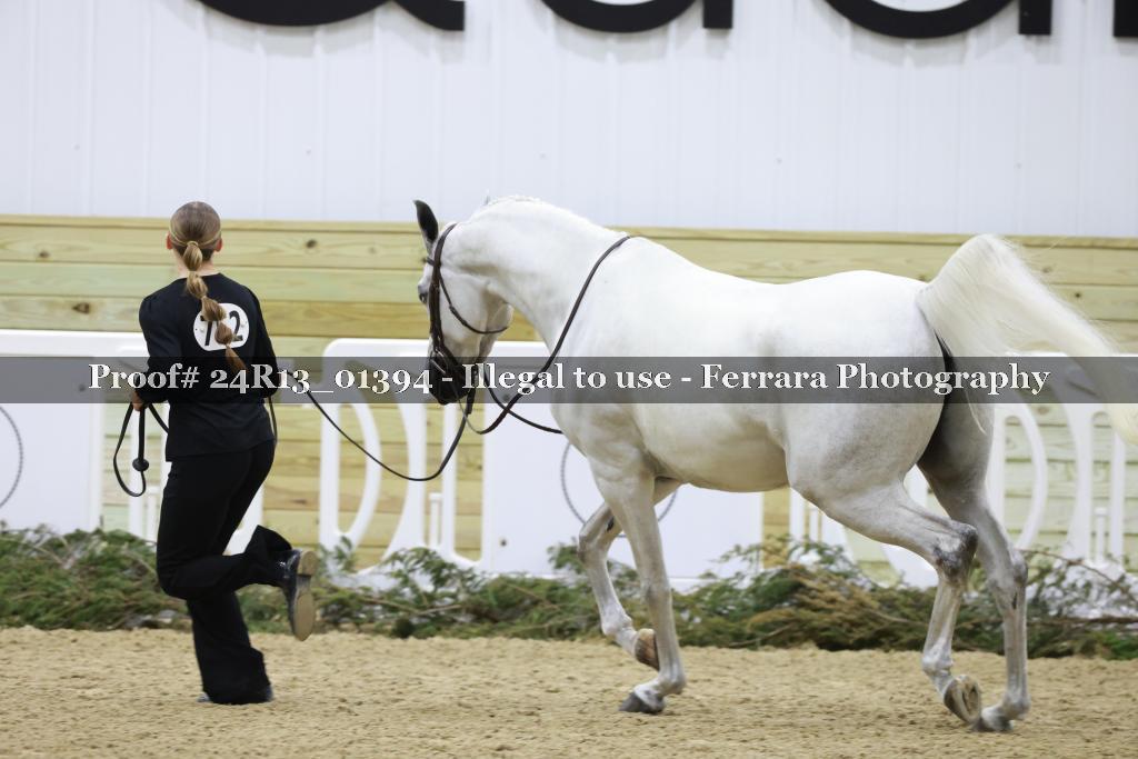 Proof 24R13_01394