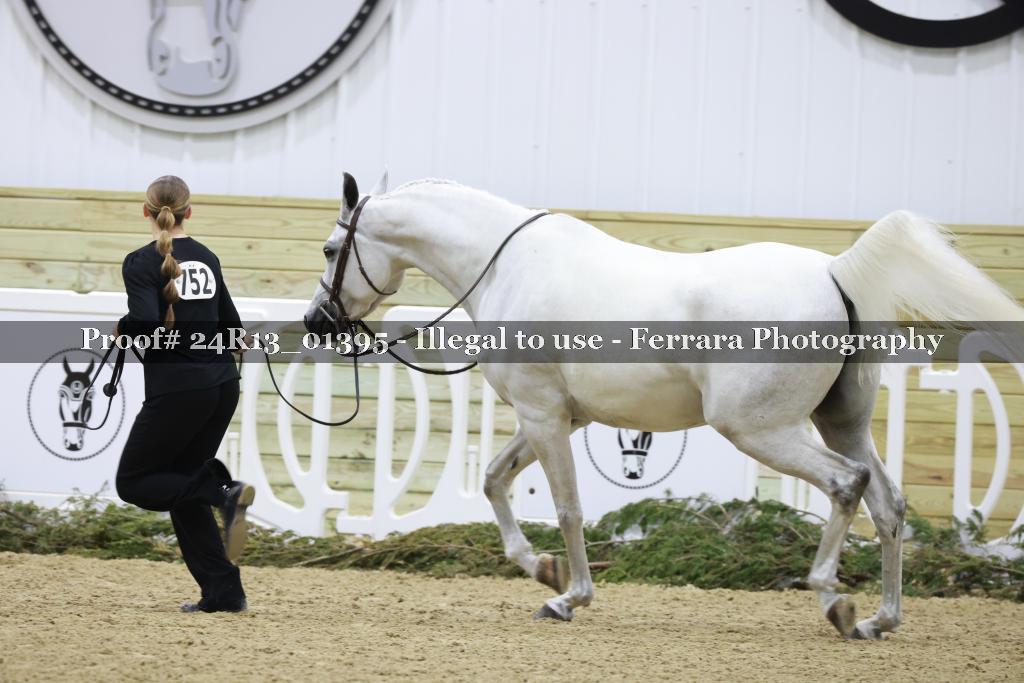 Proof 24R13_01395