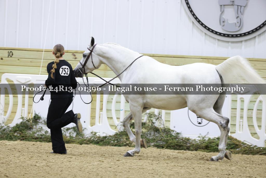 Proof 24R13_01396