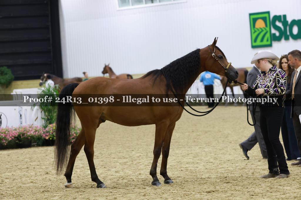 Proof 24R13_01398