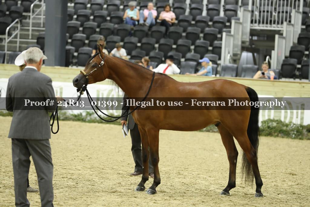 Proof 24R13_01399