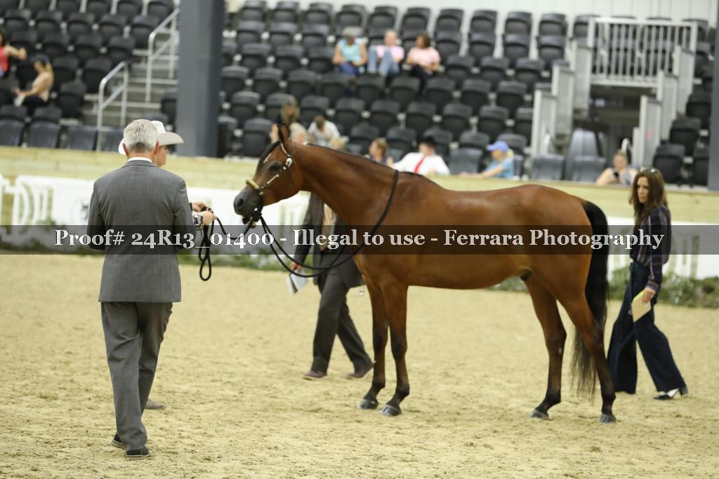 Proof 24R13_01400