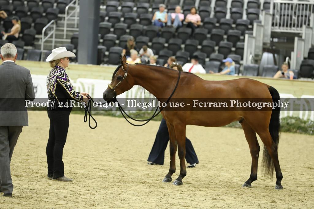 Proof 24R13_01401