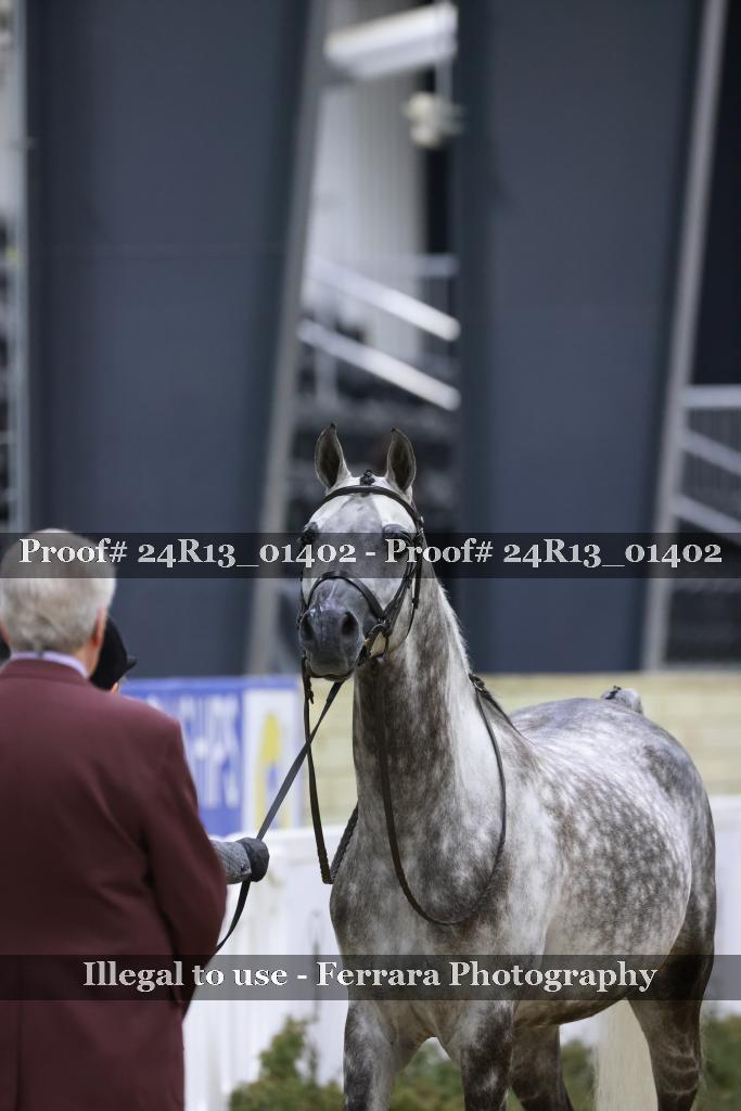 Proof 24R13_01402
