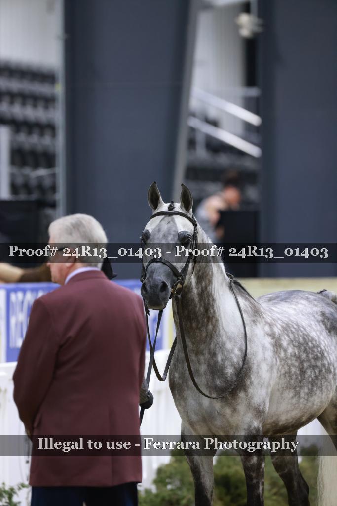 Proof 24R13_01403