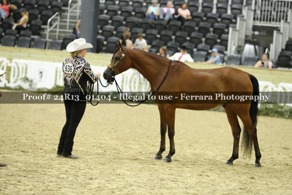 Proof 24R13_01404
