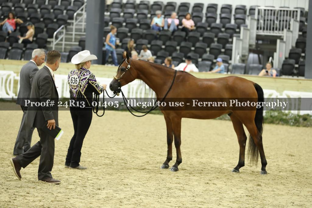 Proof 24R13_01405
