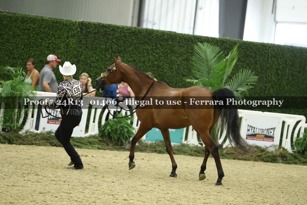 Proof 24R13_01406
