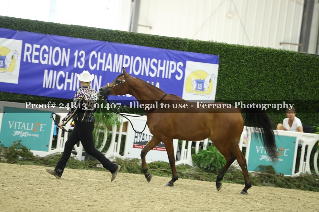 Proof 24R13_01407