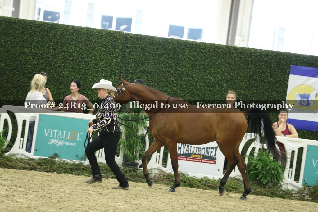 Proof 24R13_01409