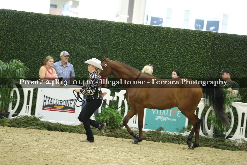 Proof 24R13_01410