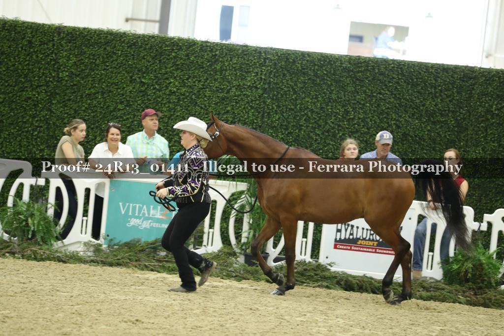 Proof 24R13_01411