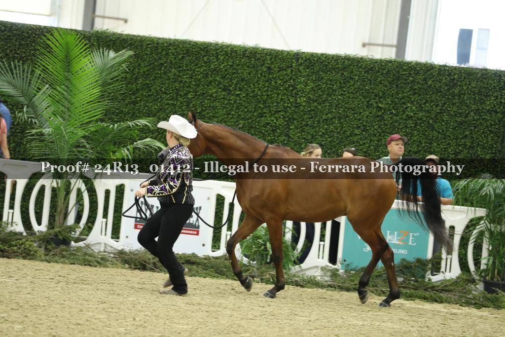 Proof 24R13_01412