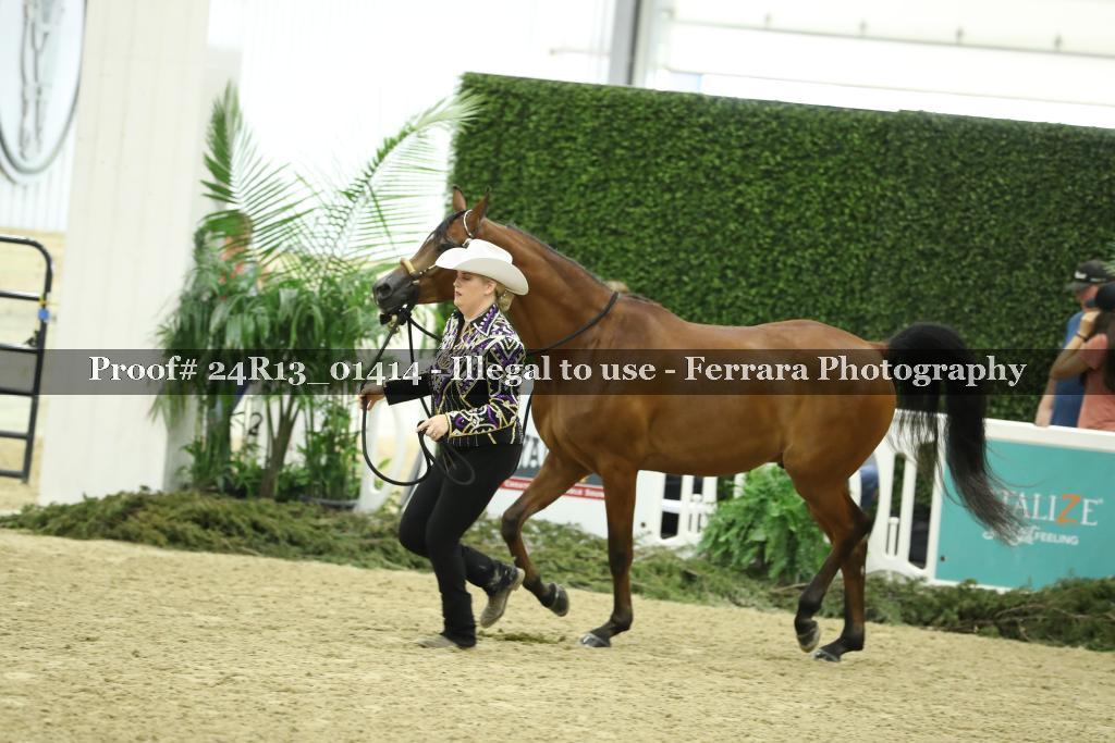 Proof 24R13_01414