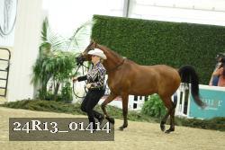 24R13_01414 proof