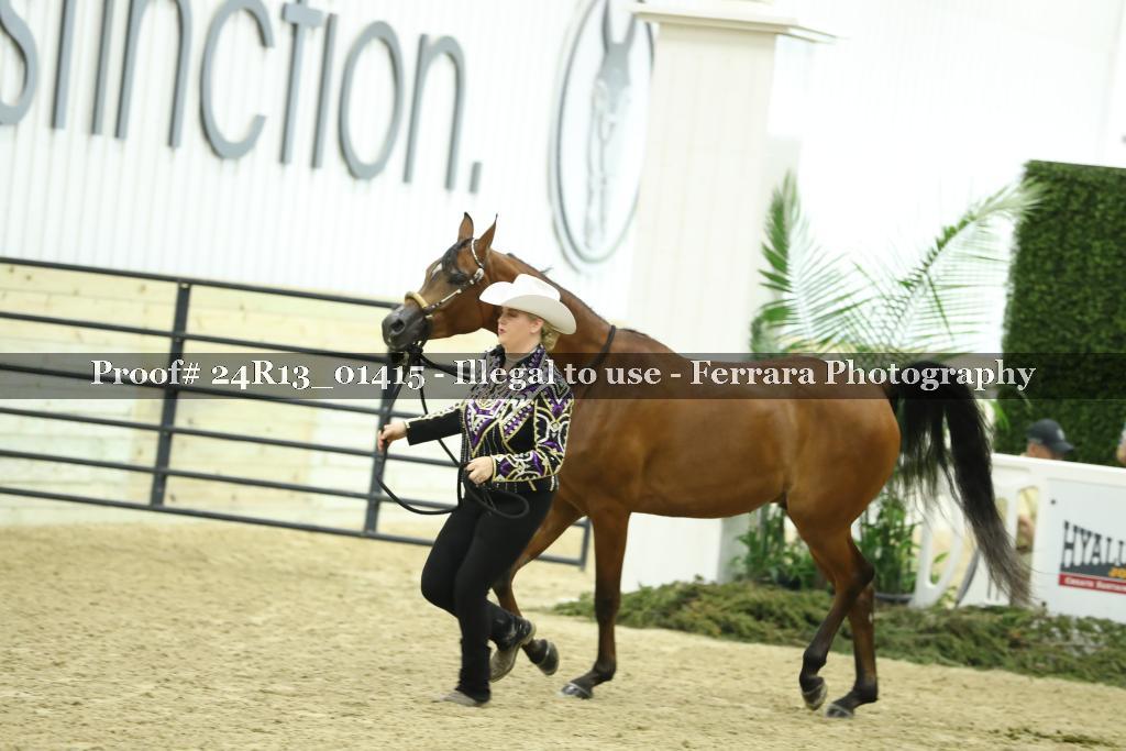 Proof 24R13_01415